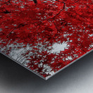 V484 Metal print