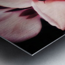 V602 Metal print