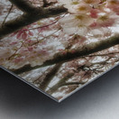 V619 Metal print
