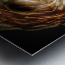 V642 Metal print