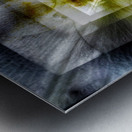 V731 Metal print