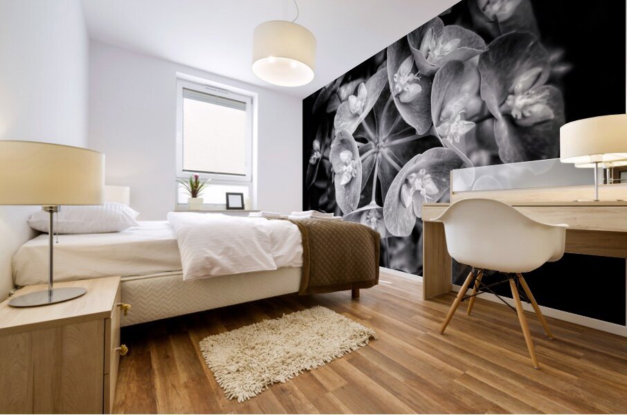 V1089 Mural print