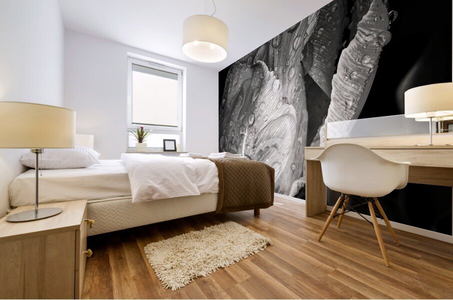 V1113 Mural print