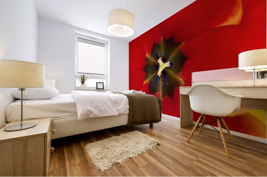 V1117 Mural print