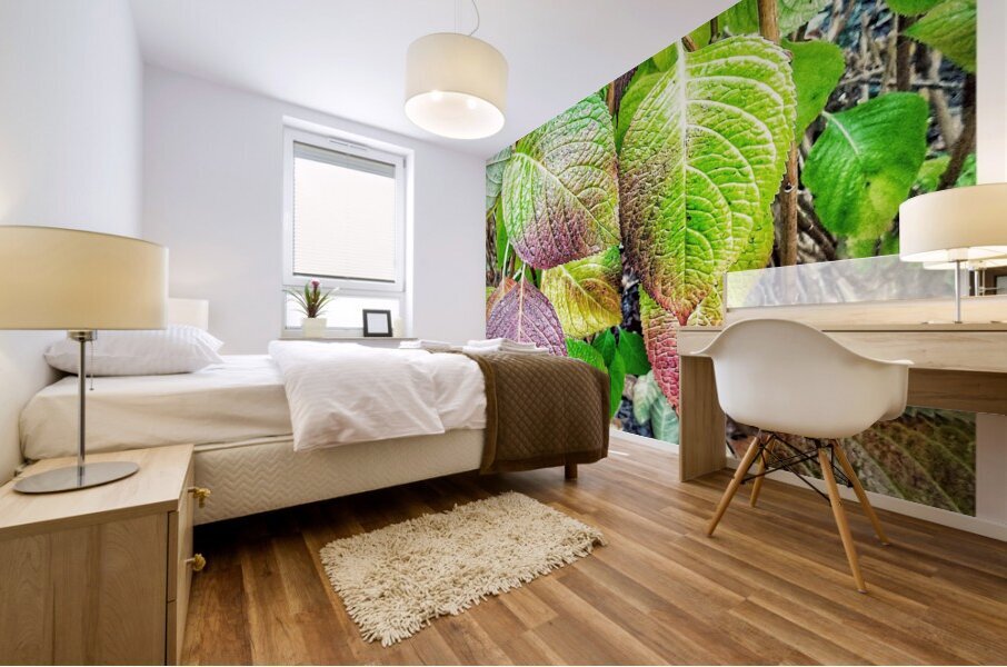 V1268 Mural print