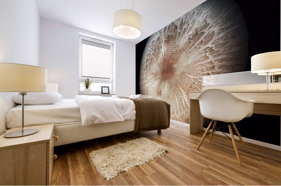 V1320 Mural print