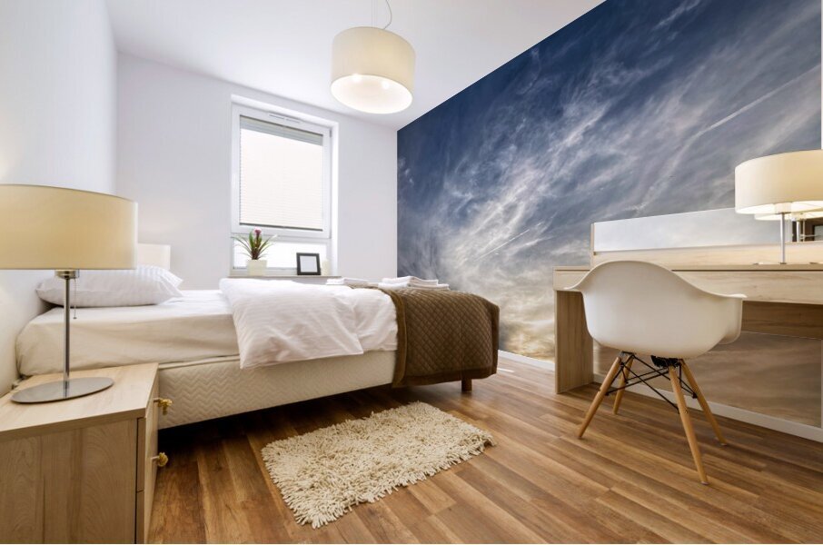 V1339 Mural print
