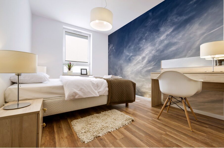 V1340 Mural print