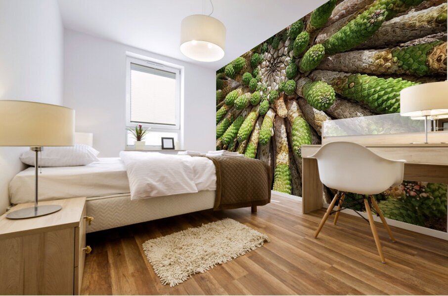 V1351 Mural print