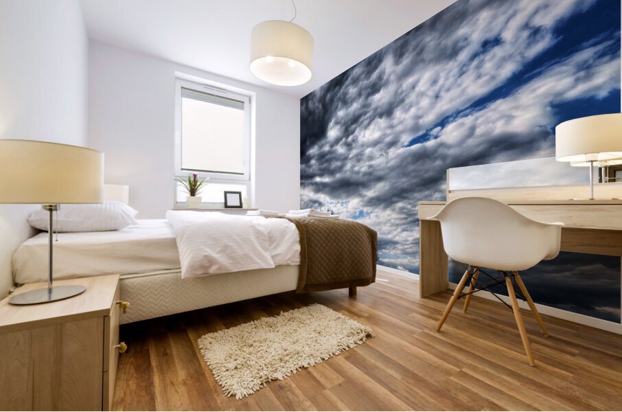 V1369 Mural print