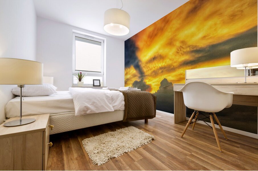 V1370 Mural print