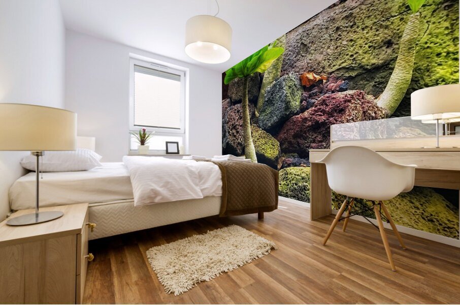 V1398 Mural print