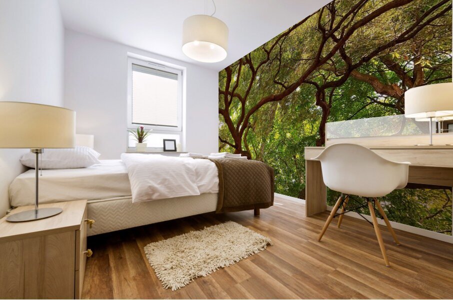 V1401 Mural print