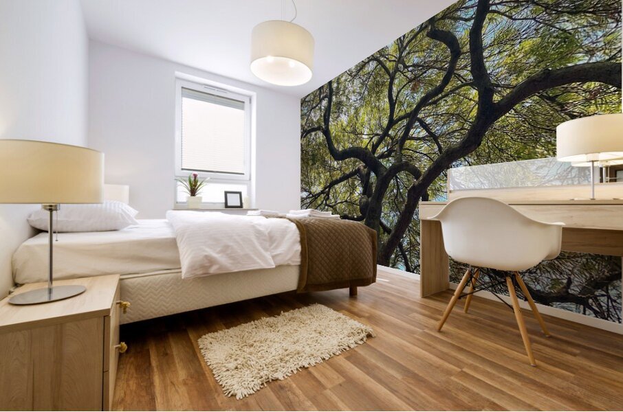 V1405 Mural print