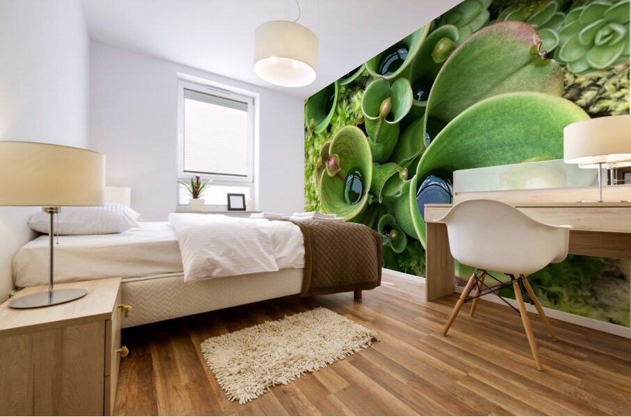 V1406 Mural print