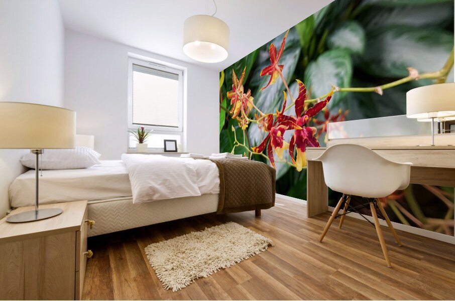 V1407 Mural print