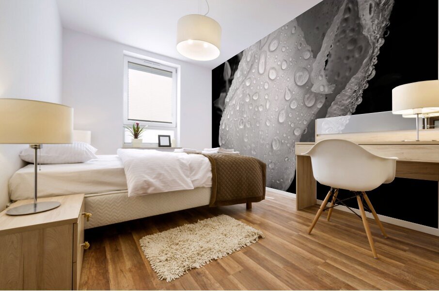 V1451 Mural print