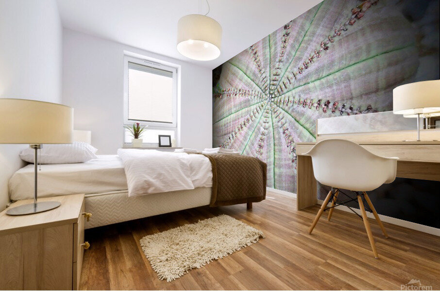V03 Mural print