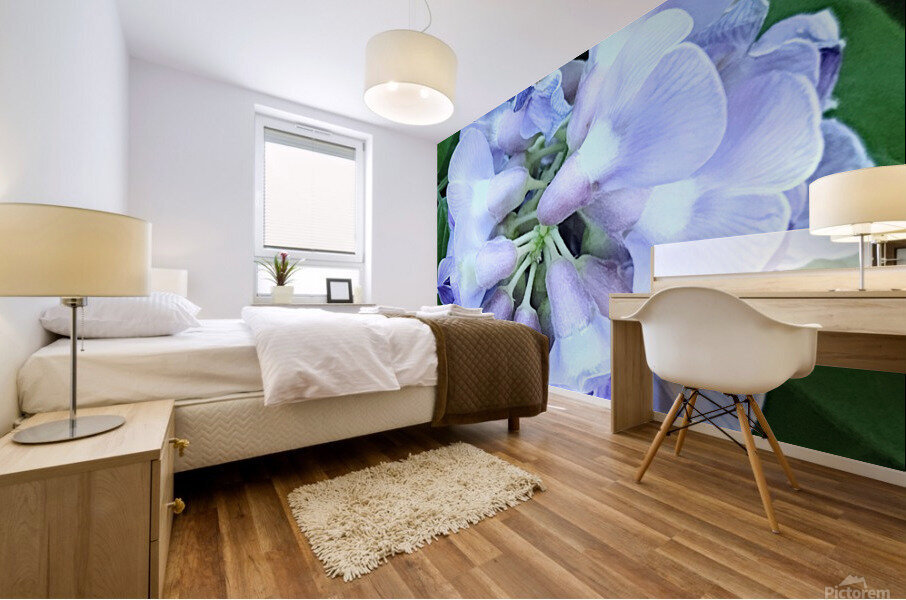 V13 Mural print