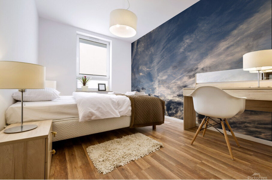 V18 Mural print