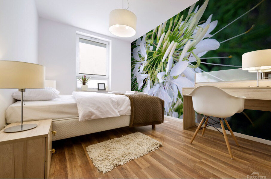 V24 Mural print