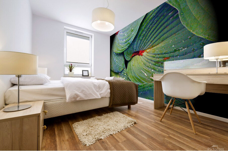 V57 Mural print