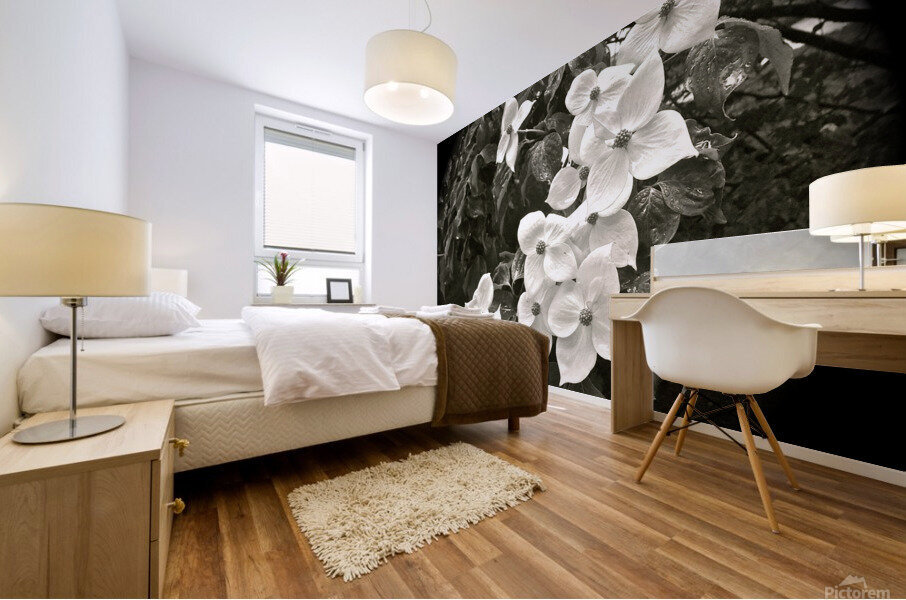 V61 Mural print