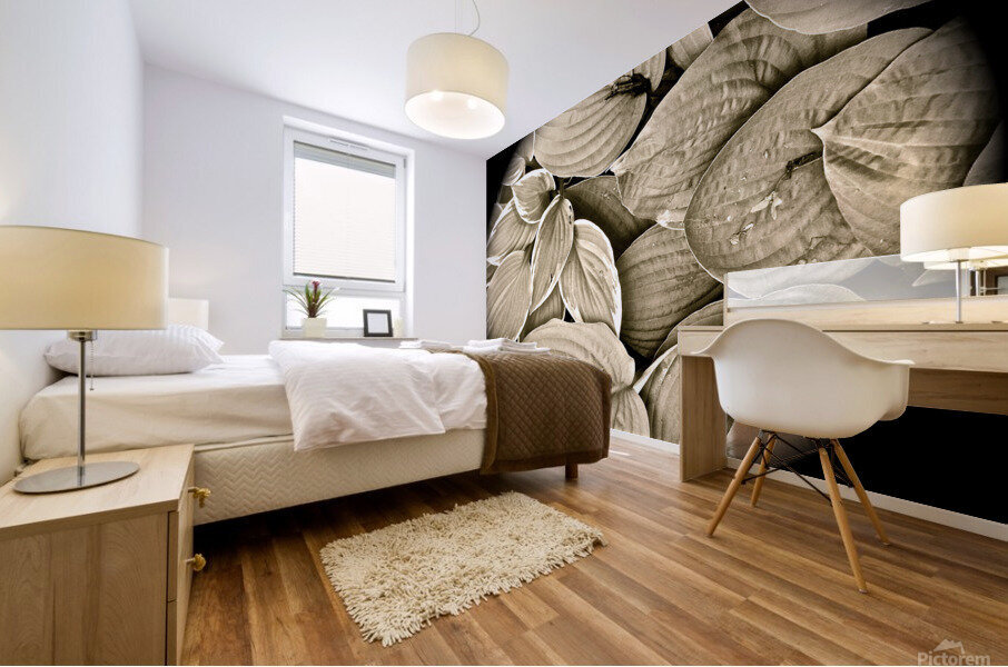 V63 Mural print