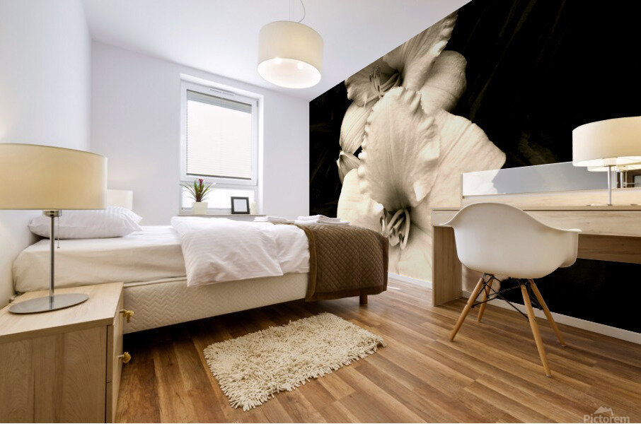 V64 Mural print
