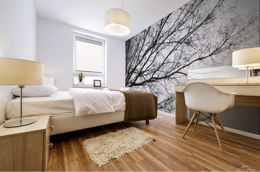 V151 Mural print