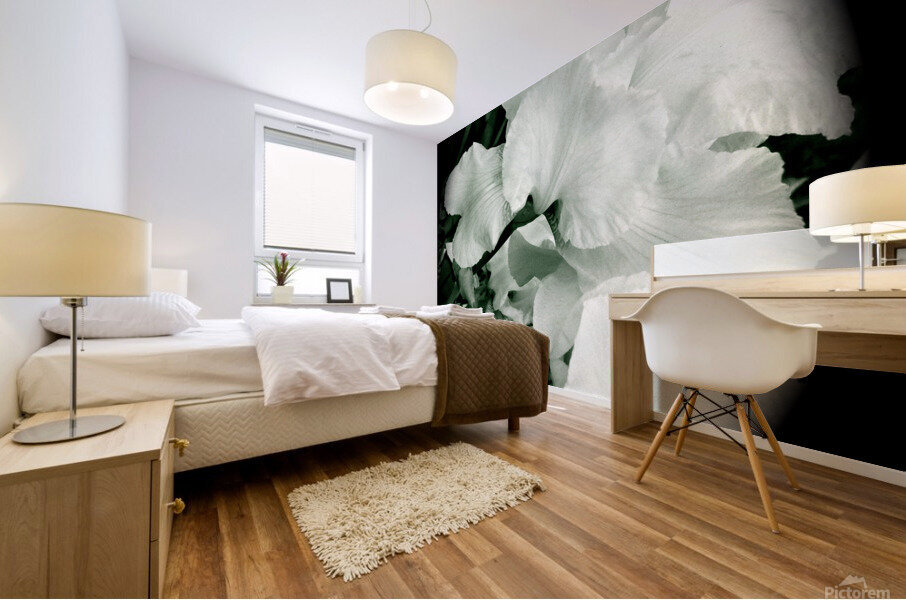 V193 Mural print