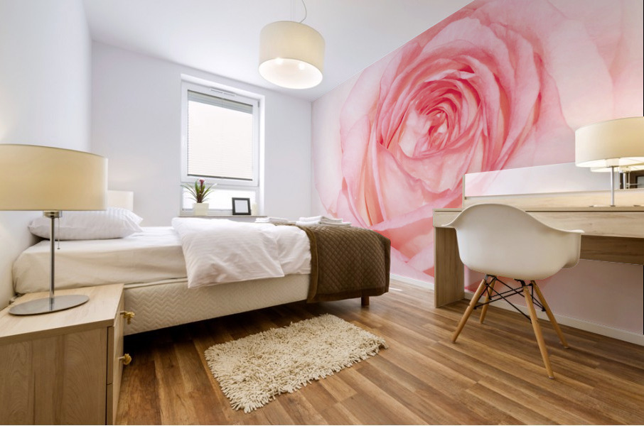 V283 Mural print