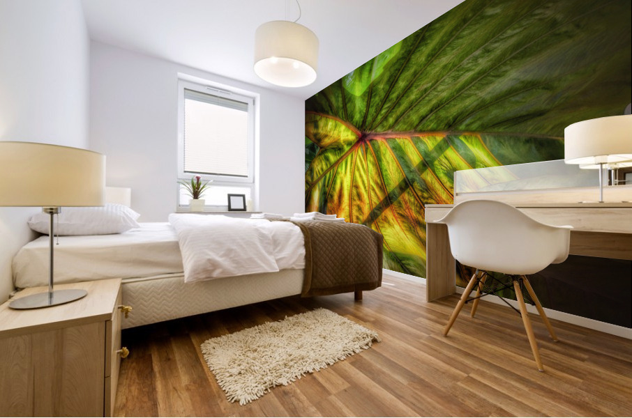 V306 Mural print