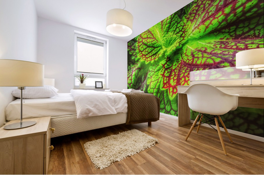 V307 Mural print