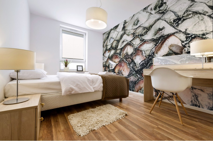 V309 Mural print