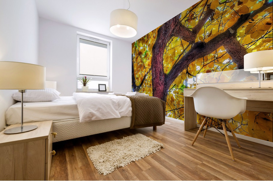 V369 Mural print