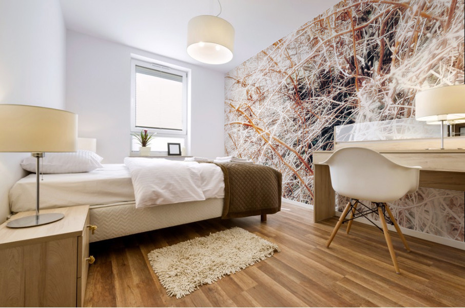 V377 Mural print