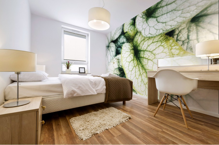 V381 Mural print