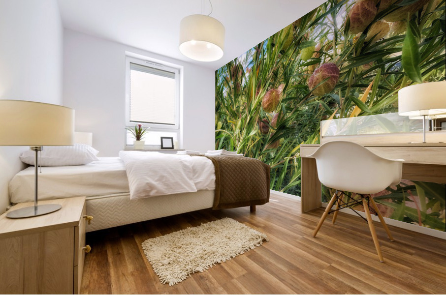 V389 Mural print