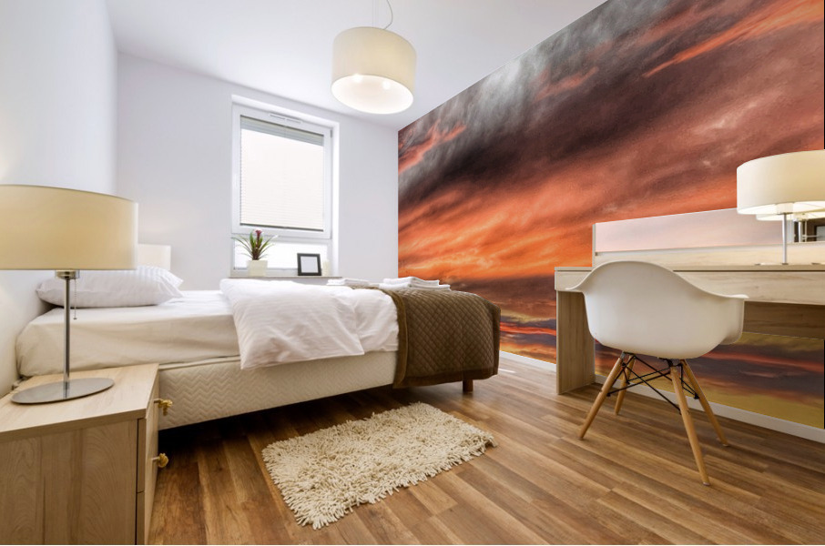 V404 Mural print