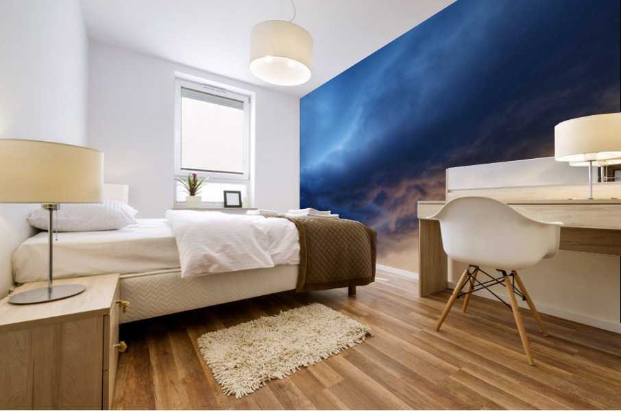 V406 Mural print