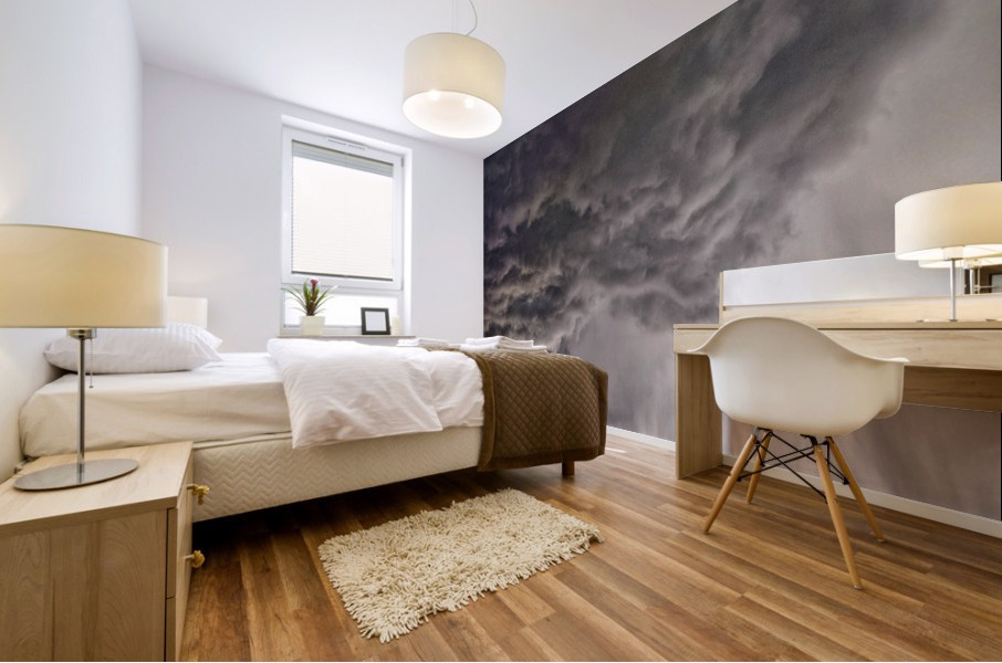 V407 Mural print