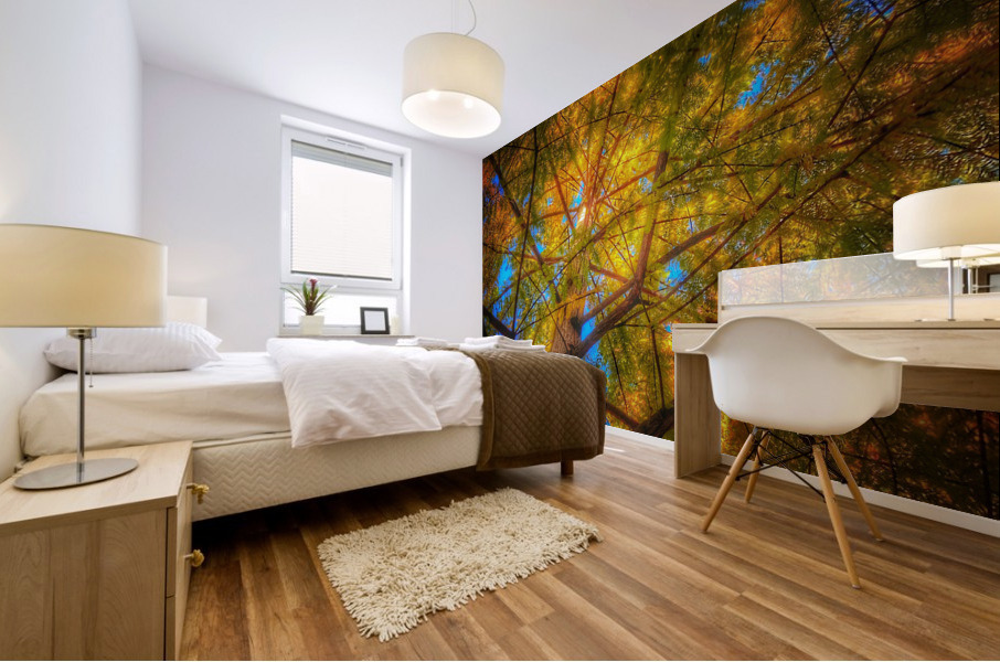 V445 Mural print
