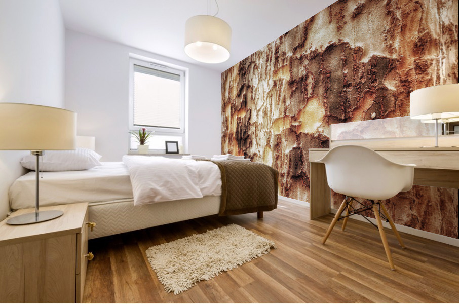 V475 Mural print