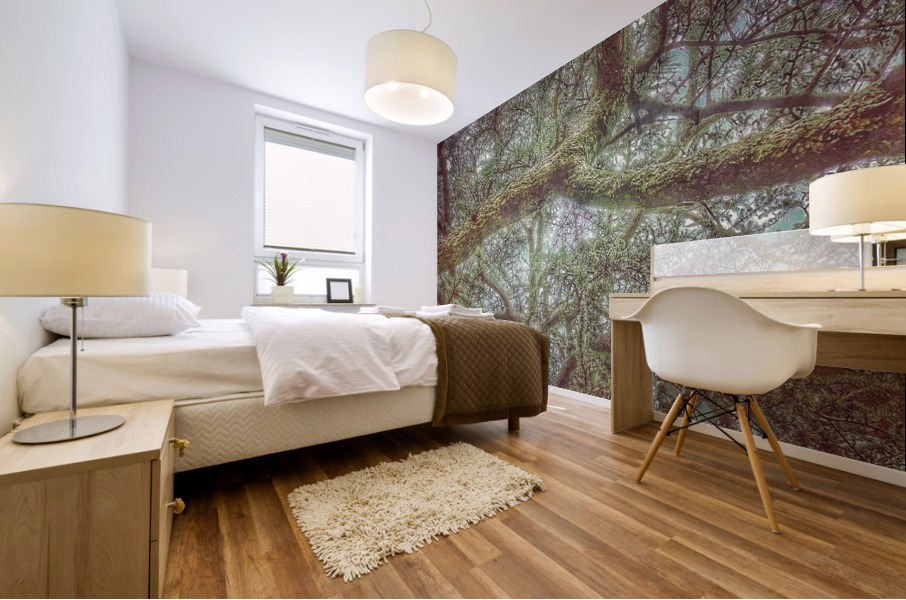 V479 Mural print