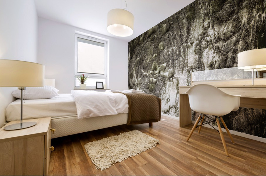 V481 Mural print