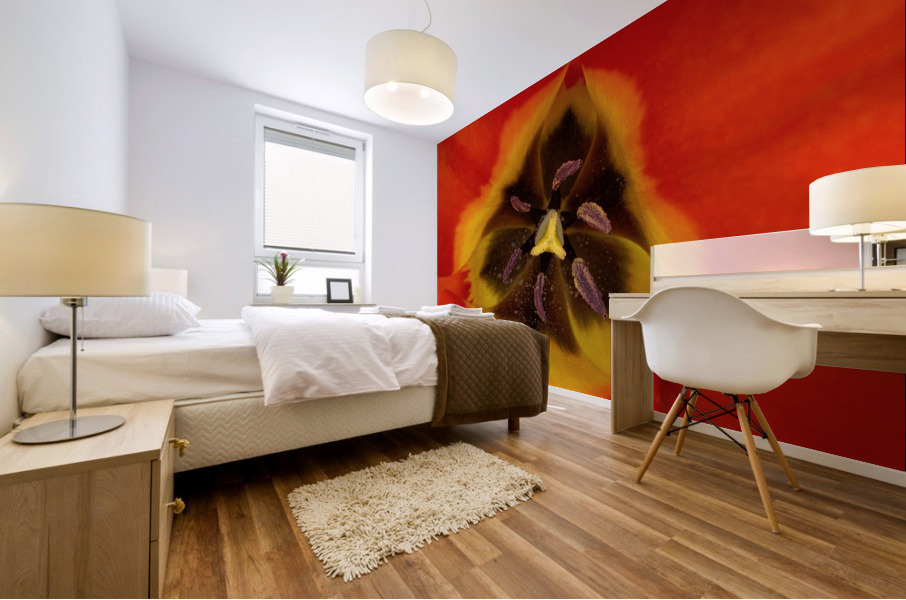 V622 Mural print