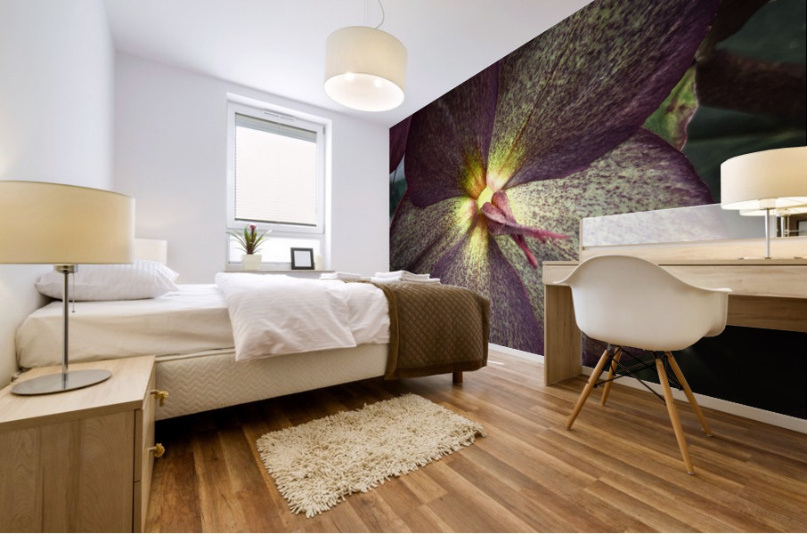 V623 Mural print
