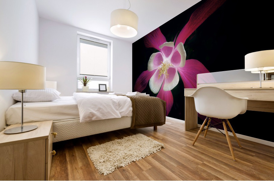 V633 Mural print
