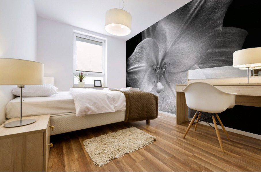 V668 Mural print
